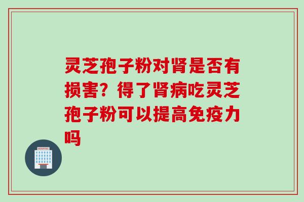 灵芝孢子粉对肾是否有损害？得了肾病吃灵芝孢子粉可以提高免疫力吗