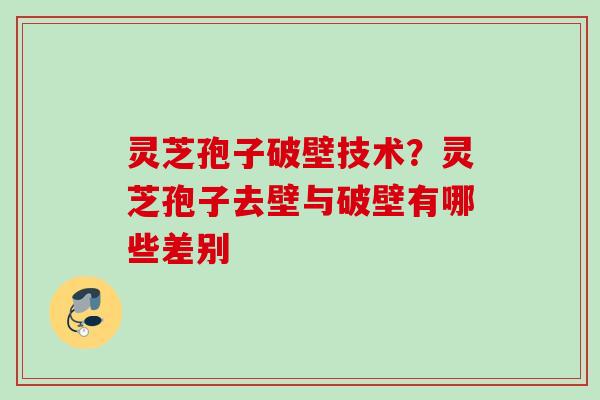 灵芝孢子破壁技术？灵芝孢子去壁与破壁有哪些差别