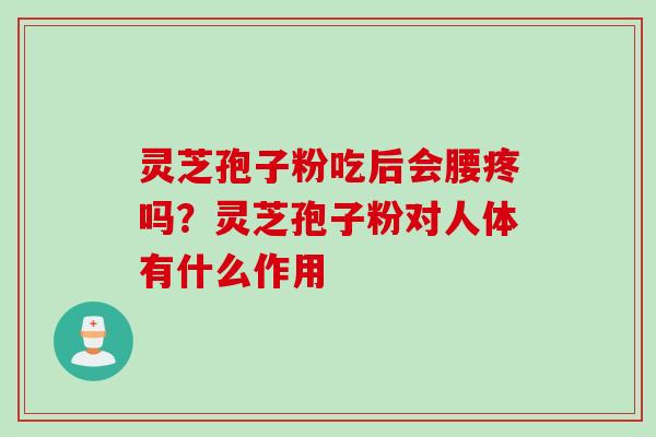 灵芝孢子粉吃后会腰疼吗？灵芝孢子粉对人体有什么作用
