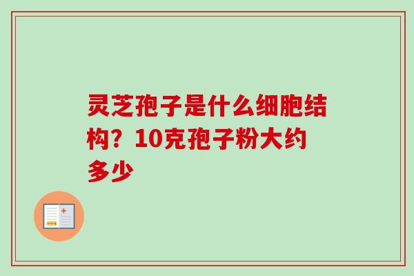 灵芝孢子是什么细胞结构？10克孢子粉大约多少