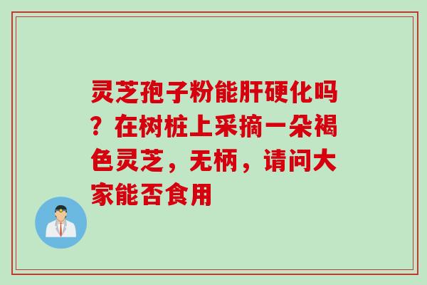 灵芝孢子粉能肝硬化吗？在树桩上采摘一朵褐色灵芝，无柄，请问大家能否食用