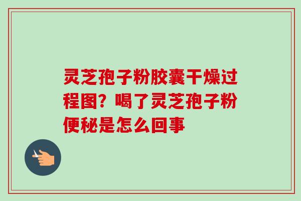 灵芝孢子粉胶囊干燥过程图？喝了灵芝孢子粉便秘是怎么回事