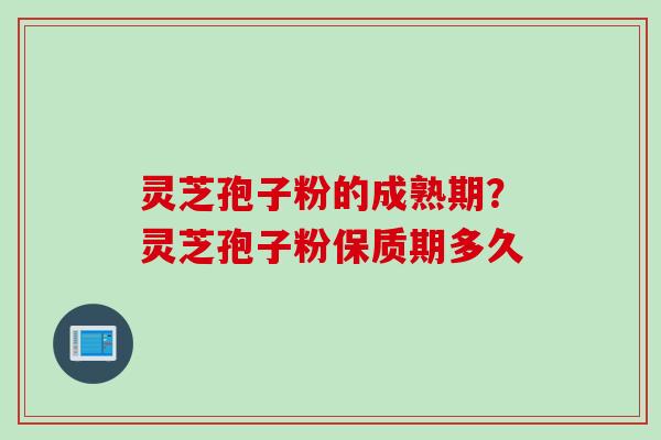 灵芝孢子粉的成熟期？灵芝孢子粉保质期多久