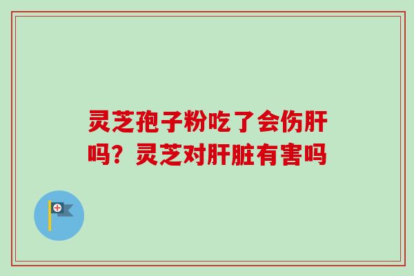 灵芝孢子粉吃了会伤肝吗？灵芝对肝脏有害吗