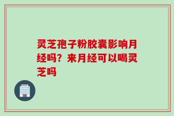 灵芝孢子粉胶囊影响月经吗？来月经可以喝灵芝吗