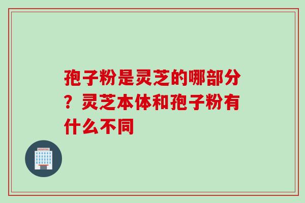 孢子粉是灵芝的哪部分?灵芝本体和孢子粉有什么不同 孢子粉是灵芝的哪部分?灵芝本体和孢子粉有什么不同