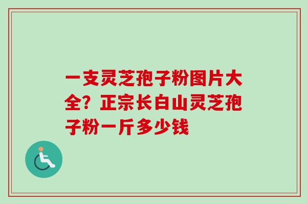 一支灵芝孢子粉图片大全？正宗长白山灵芝孢子粉一斤多少钱