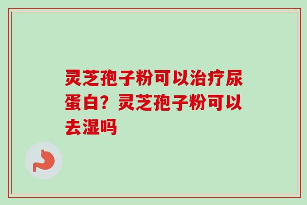 灵芝孢子粉可以治疗尿蛋白？灵芝孢子粉可以去湿吗