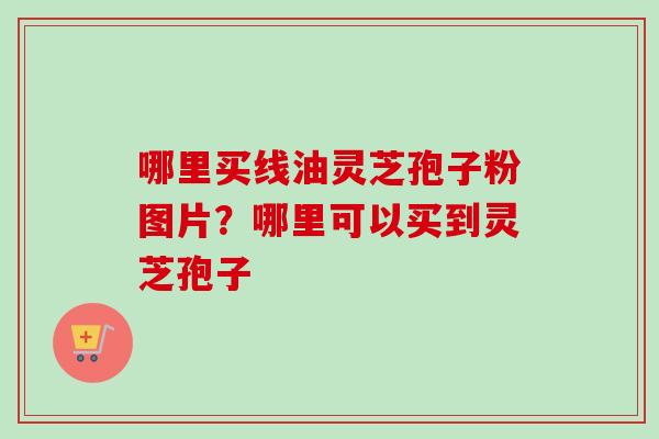 哪里买线油灵芝孢子粉图片?哪里可以买到灵芝孢子 哪里买线油灵芝孢子粉图片?哪里可以买到灵芝孢子