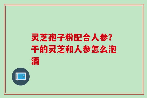 灵芝孢子粉配合人参？干的灵芝和人参怎么泡酒