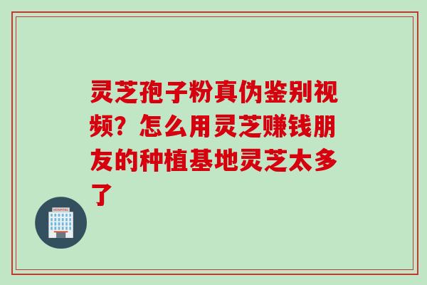 灵芝孢子粉真伪鉴别视频？怎么用灵芝赚钱朋友的种植基地灵芝太多了