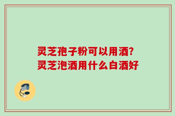 灵芝孢子粉可以用酒？灵芝泡酒用什么白酒好