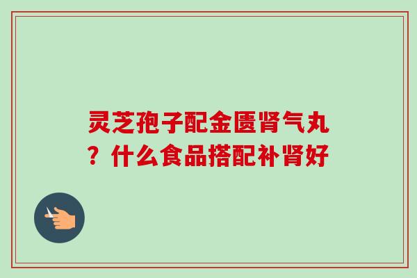 灵芝孢子配金匮气丸?什么食品搭配补好 灵芝孢子配金匮气丸?什么食品搭配补好