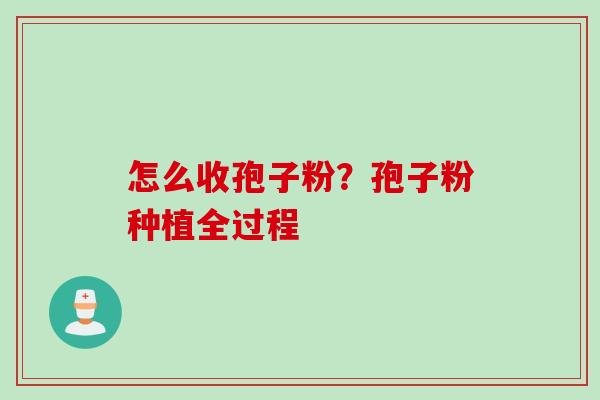 怎么收孢子粉?孢子粉种植全过程 怎么收孢子粉?孢子粉种植全过程