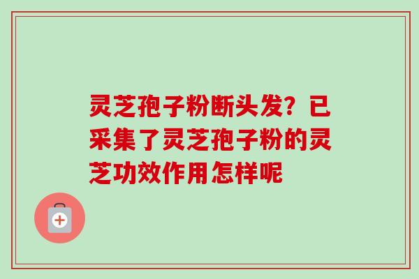 灵芝孢子粉断头发？已采集了灵芝孢子粉的灵芝功效作用怎样呢