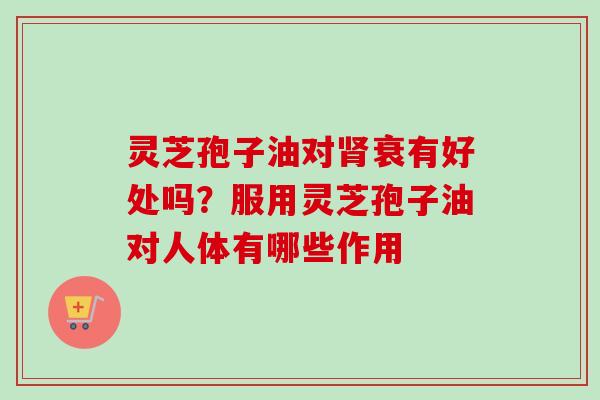 灵芝孢子油对肾衰有好处吗？服用灵芝孢子油对人体有哪些作用