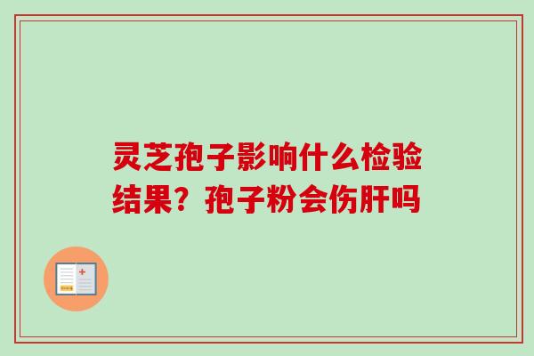 灵芝孢子影响什么检验结果？孢子粉会伤肝吗
