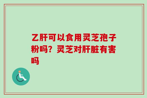乙肝可以食用灵芝孢子粉吗？灵芝对肝脏有害吗