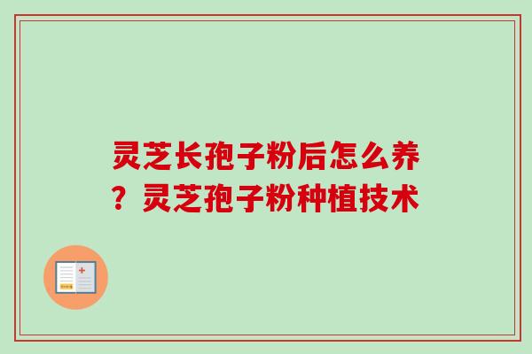 灵芝长孢子粉后怎么养？灵芝孢子粉种植技术