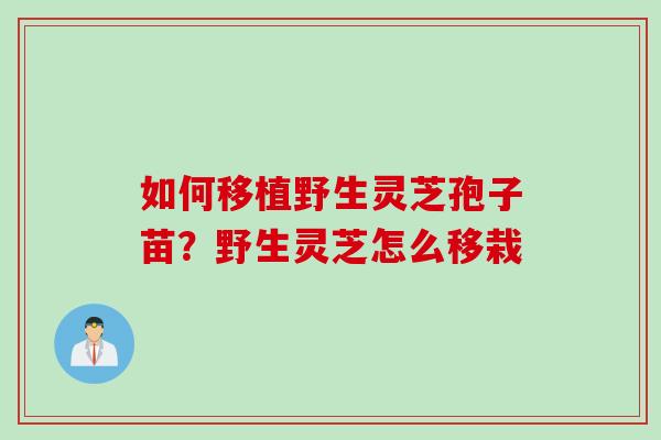 如何移植野生灵芝孢子苗？野生灵芝怎么移栽