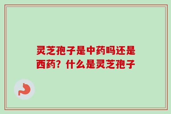 灵芝孢子是中药吗还是西药？什么是灵芝孢子
