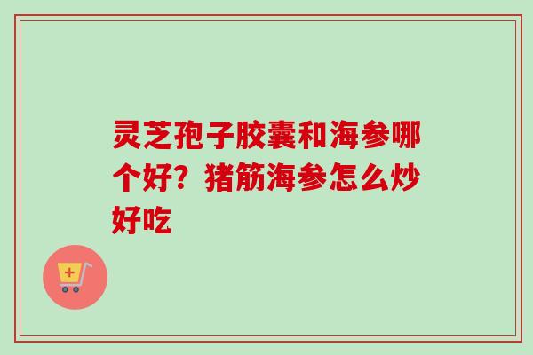 灵芝孢子胶囊和海参哪个好？猪筋海参怎么炒好吃