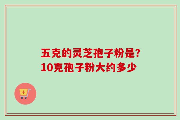 五克的灵芝孢子粉是？10克孢子粉大约多少