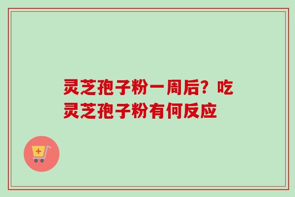 灵芝孢子粉一周后？吃灵芝孢子粉有何反应