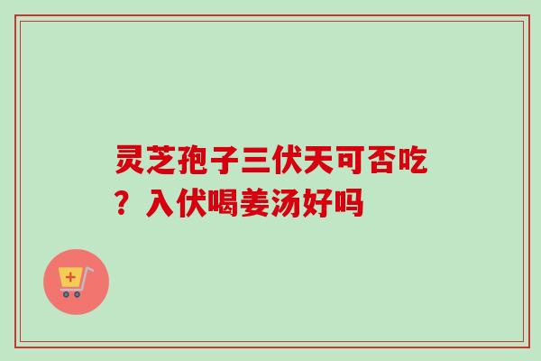 灵芝孢子三伏天可否吃？入伏喝姜汤好吗