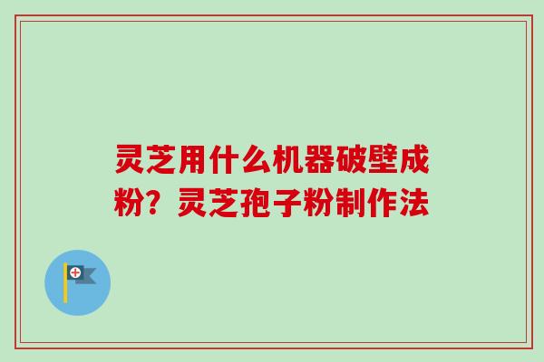 灵芝用什么机器破壁成粉？灵芝孢子粉制作法
