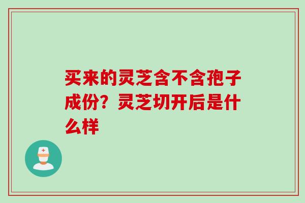 买来的灵芝含不含孢子成份？灵芝切开后是什么样