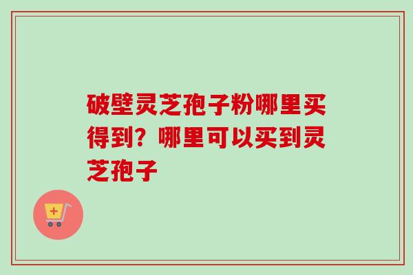破壁灵芝孢子粉哪里买得到？哪里可以买到灵芝孢子