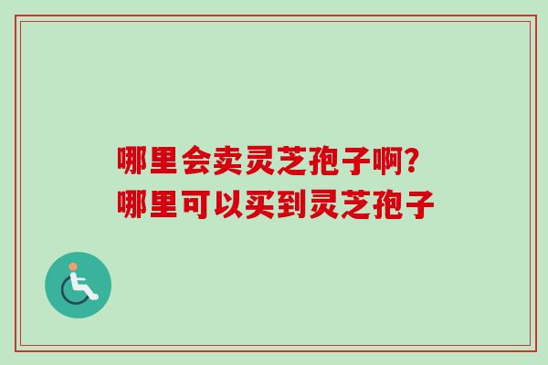 哪里会卖灵芝孢子啊？哪里可以买到灵芝孢子