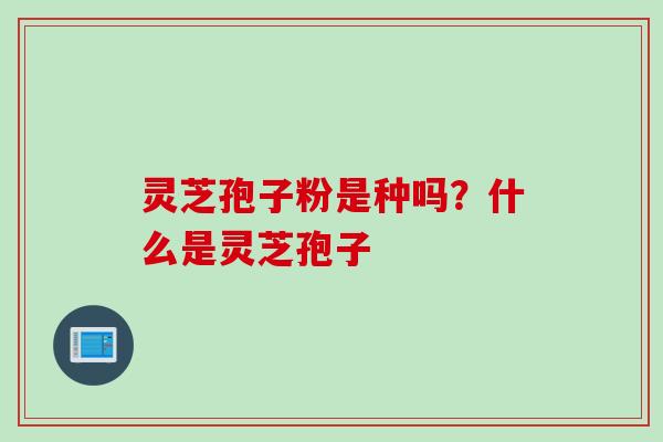 灵芝孢子粉是种吗？什么是灵芝孢子
