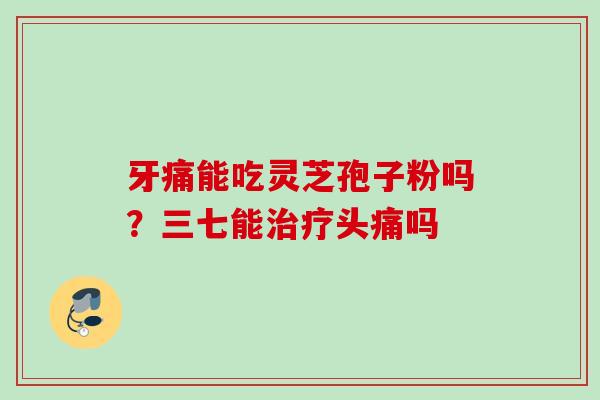牙痛能吃灵芝孢子粉吗？三七能治疗头痛吗