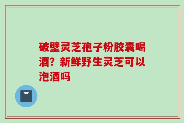 破壁灵芝孢子粉胶囊喝酒？新鲜野生灵芝可以泡酒吗