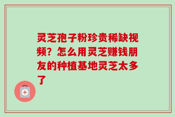 灵芝孢子粉珍贵稀缺视频？怎么用灵芝赚钱朋友的种植基地灵芝太多了