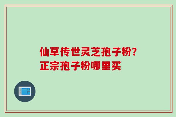仙草传世灵芝孢子粉?正宗孢子粉哪里买 仙草传世灵芝孢子粉?正宗孢子粉哪里买