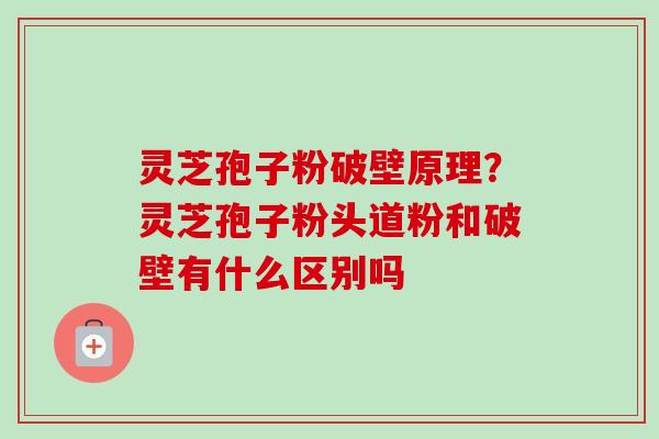 灵芝孢子粉破壁原理？灵芝孢子粉头道粉和破壁有什么区别吗