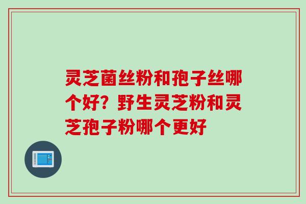灵芝菌丝粉和孢子丝哪个好？野生灵芝粉和灵芝孢子粉哪个更好