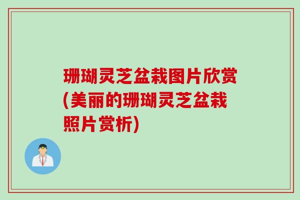 珊瑚灵芝盆栽图片欣赏(美丽的珊瑚灵芝盆栽照片赏析)