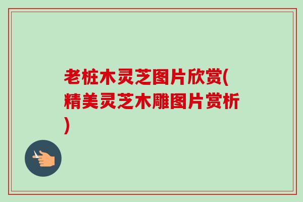 老桩木灵芝图片欣赏(精美灵芝木雕图片赏析)
