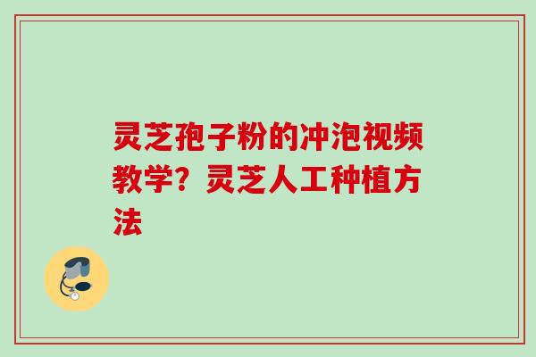 灵芝孢子粉的冲泡视频教学？灵芝人工种植方法