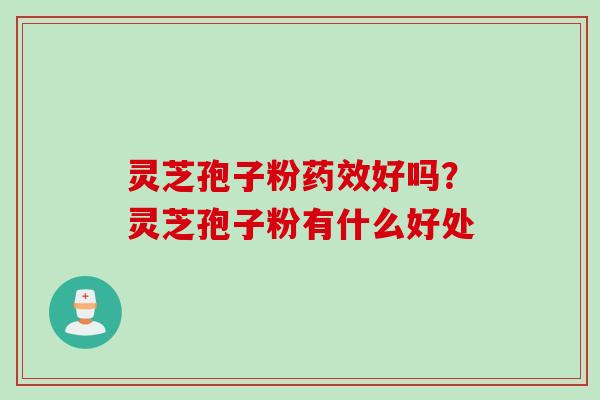 灵芝孢子粉药效好吗？灵芝孢子粉有什么好处