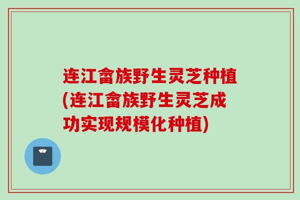连江畲族野生灵芝种植(连江畲族野生灵芝成功实现规模化种植)