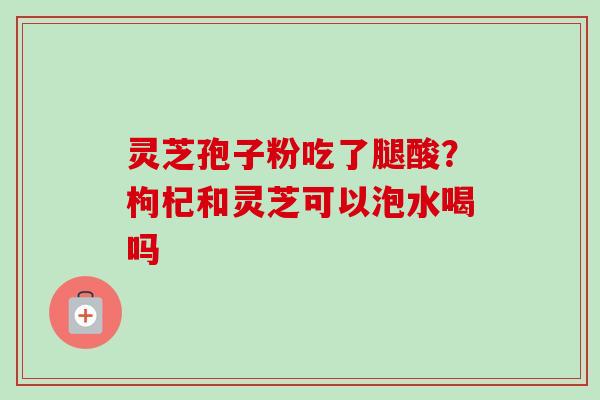 灵芝孢子粉吃了腿酸?枸杞和灵芝可以泡水喝吗 灵芝孢子粉吃了腿酸?枸杞和灵芝可以泡水喝吗