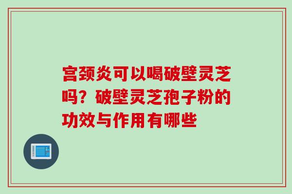 宫颈炎可以喝破壁灵芝吗?破壁灵芝孢子粉的功效与作用有哪些 宫颈炎可以喝破壁灵芝吗?破壁灵芝孢子粉的功效与作用有哪些