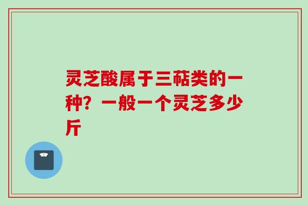 灵芝酸属于三萜类的一种？一般一个灵芝多少斤