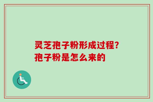 灵芝孢子粉形成过程？孢子粉是怎么来的