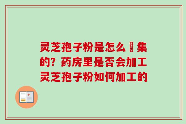 灵芝孢子粉是怎么釆集的？药房里是否会加工灵芝孢子粉如何加工的